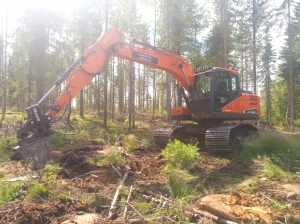 Kaivinkone raivaamassa metsämaata